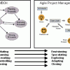 PMBOK Agile Project Management