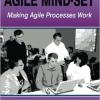 Book cover The Agile Mind Set