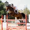 Horse leaping over a barricade